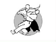 aikidothrow.jpg