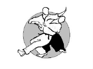 aikidothrow.jpg